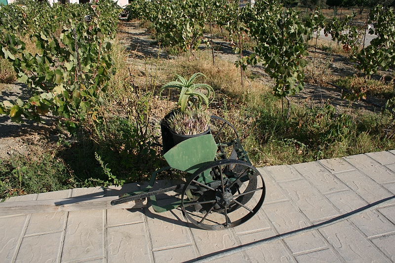 Rodos 2007 755